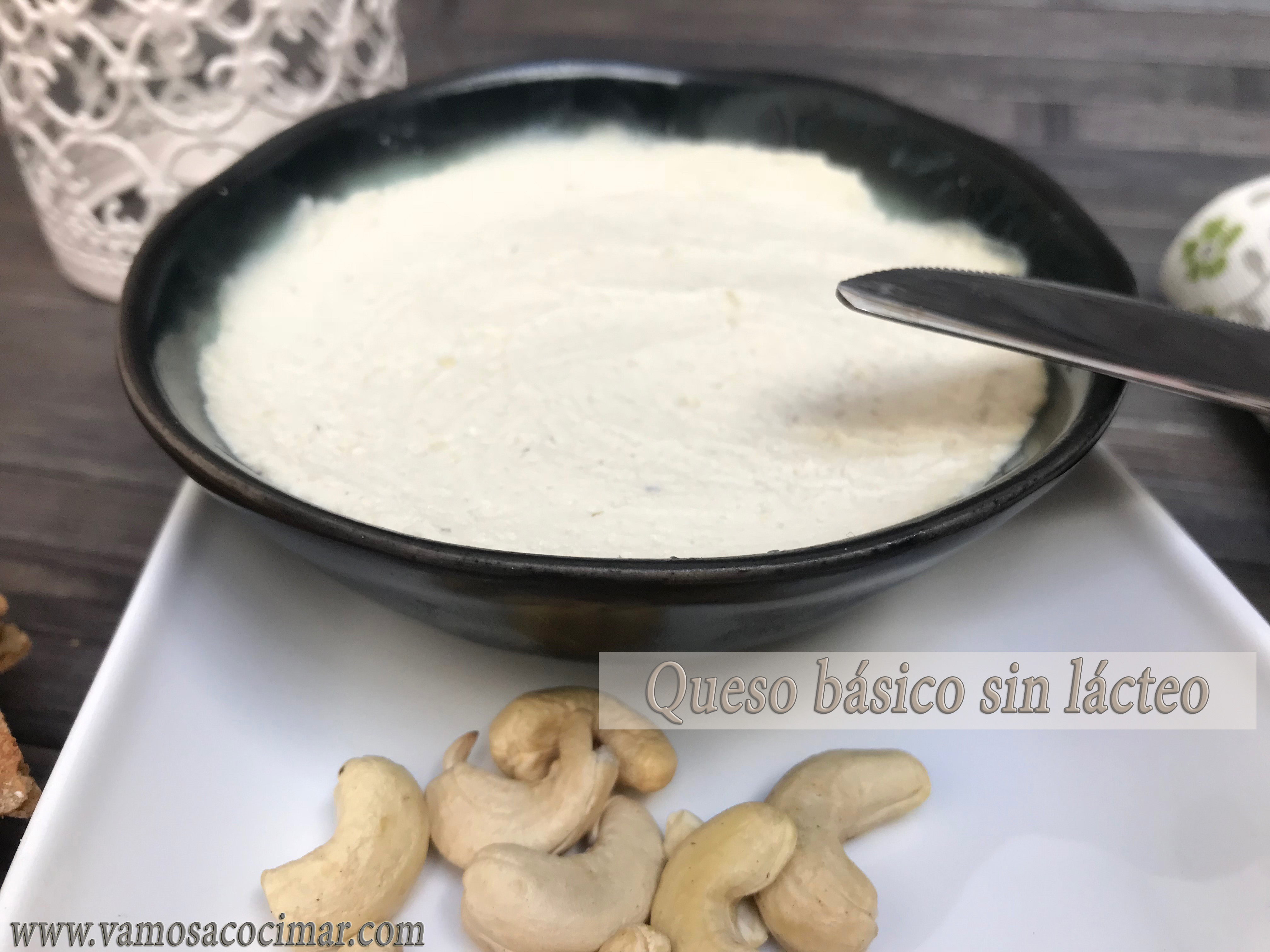 Queso basico sin lacteo 3